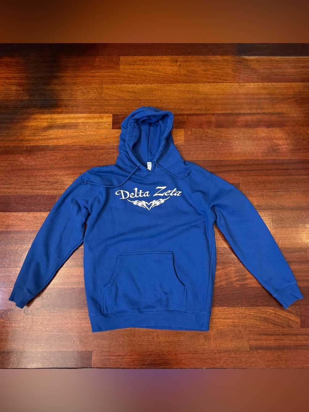 Delta Zeta DZ Sorority Blue Hoodie